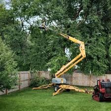 Best Tree Health Inspection  in Pryor Creek, OK